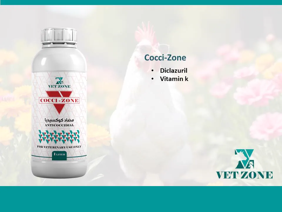 Cocci-Zone